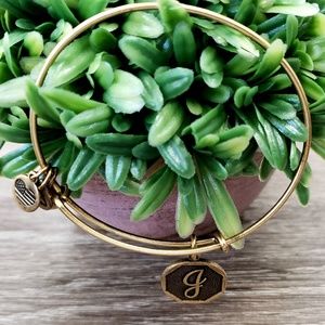 Alex and Ani "G Letter" Charm Bracelet